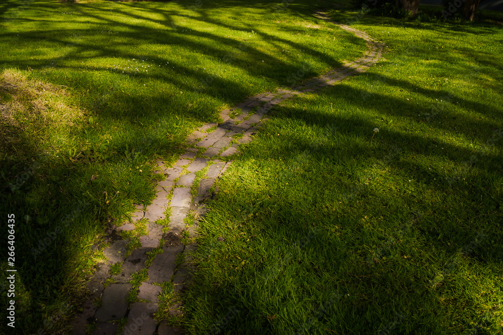 path in the grass, usquert, netherlands path in the grass, usquert, netherlands