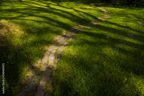 path in the grass, usquert, netherlands