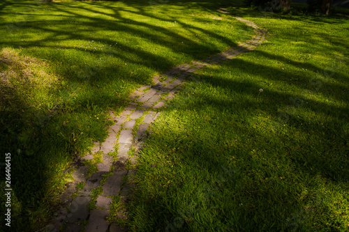 path in the grass, usquert, netherlands photo