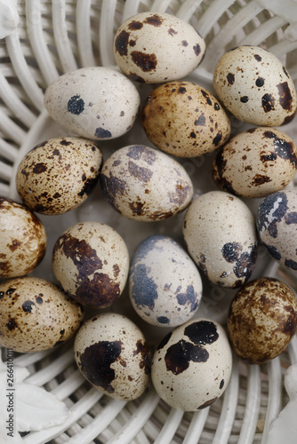 Quails eggs photo