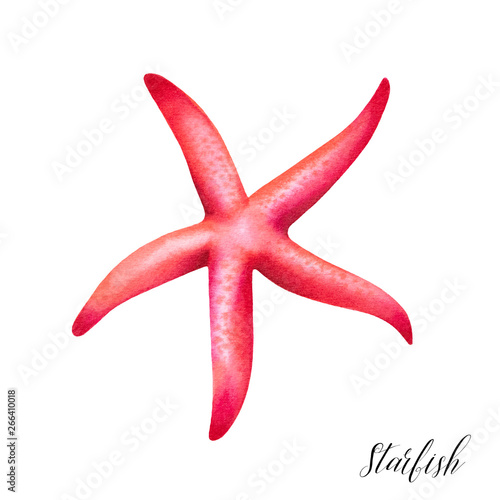Sea starfish. Tropical ocean coral reef wildlife. Watercolor illustration.