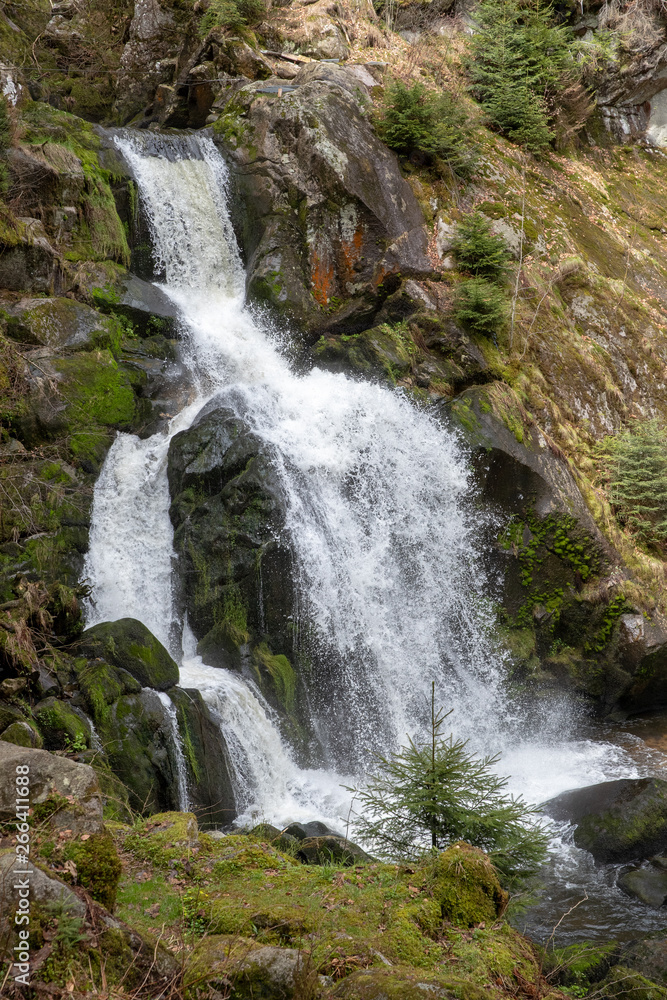 Fototapeta premium Triberger Wasserfall Kaskade im Schwarzwald