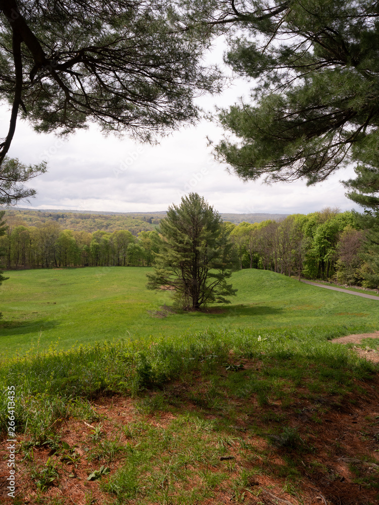 Obraz premium OLYMPUS DIGITAL CAMERA