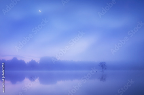 Morgen im Nebel am Teich mit Insel