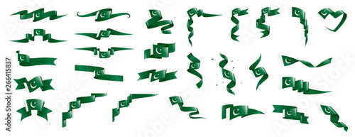 Pakistan flag, vector illustration on a white background