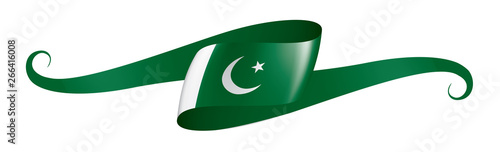Pakistan flag, vector illustration on a white background