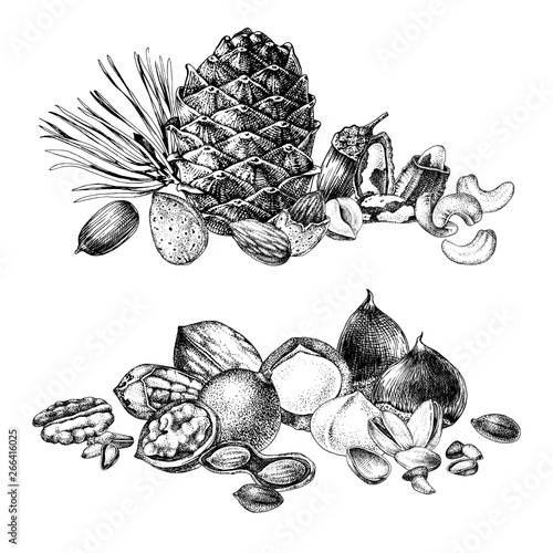 Borders with hand drawn edible nuts