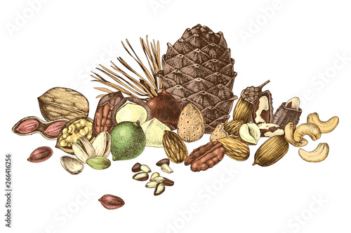 Border with hand drawn edible nuts