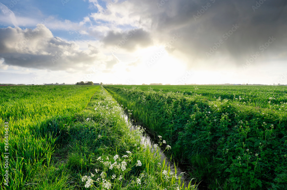 summer rain clouds over dutch green countryside