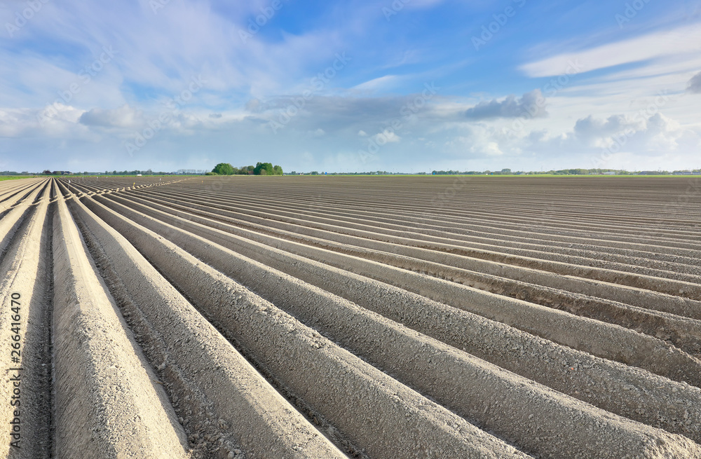 plowed potato field on sunny day