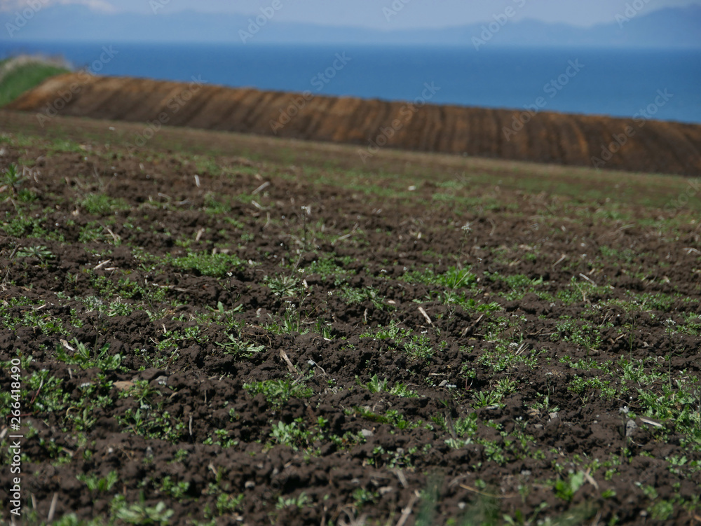 plowed field in spring plowed field in spring