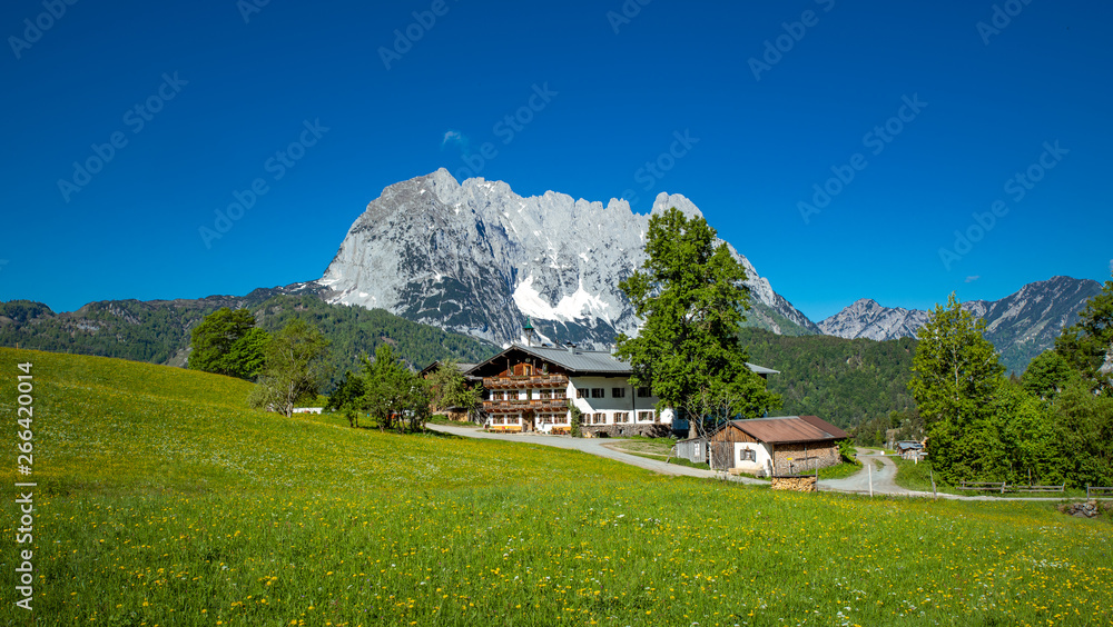 Traditional austrian farmhouse in front of a mountain, Kitzbühel, Tyrol, Austria