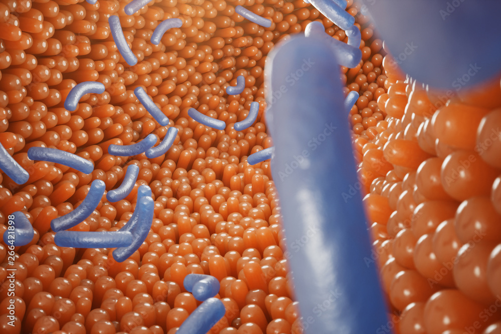 Infection In Intestines Ilustração do Stock: Intestinal villi, mucosa intestinal. Bacteria and ...