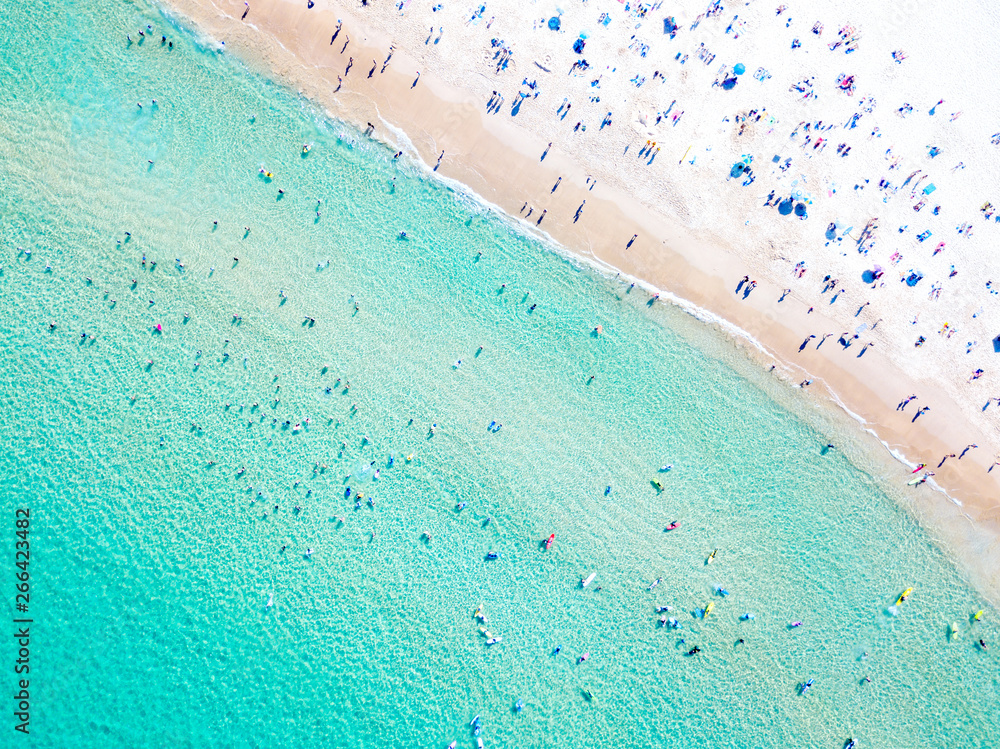Naklejka premium Widok z lotu ptaka na plażę Bondi w idealny letni dzień z ludźmi pływającymi i opalającymi się. Bondi to jedna z najbardziej ruchliwych plaż w Sydney i znajduje się na wschodnim wybrzeżu Australii
