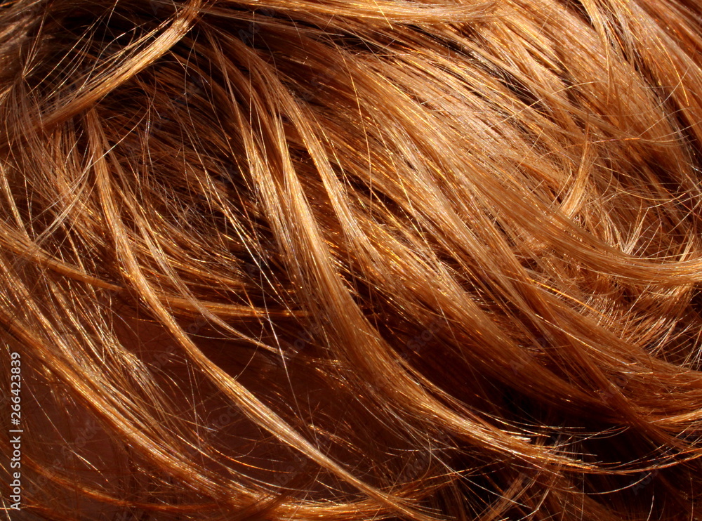 Naklejka premium red hair in the sun