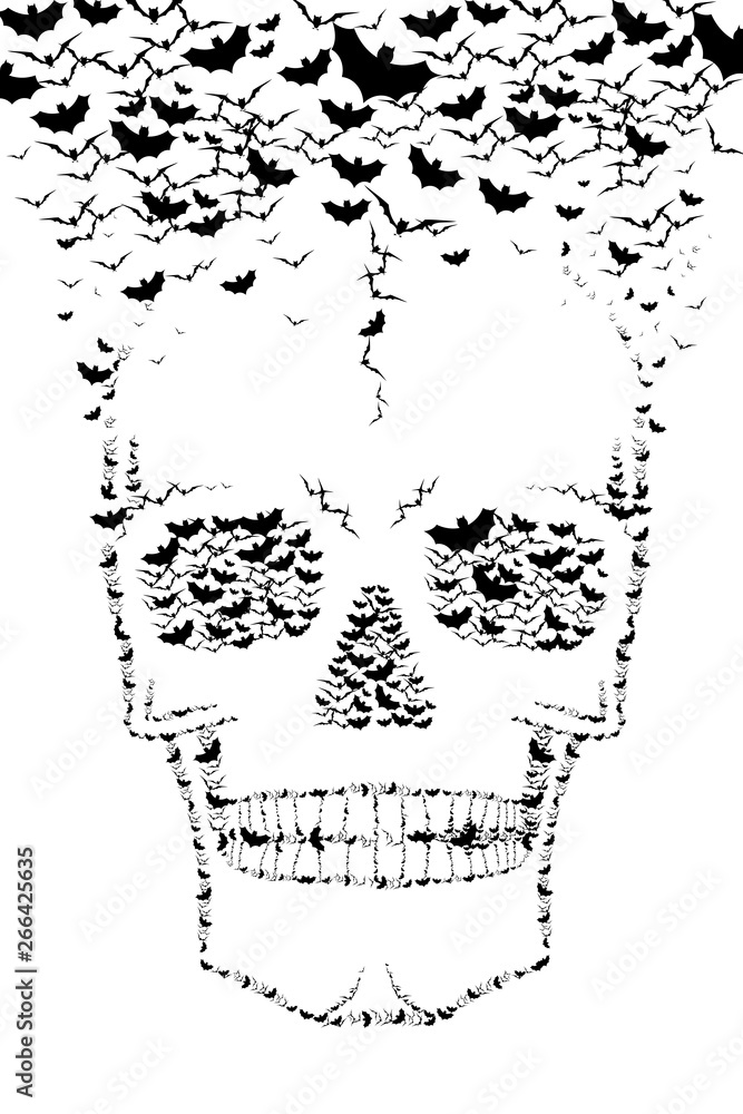 Skull - bats illustration Skull - bats illustration