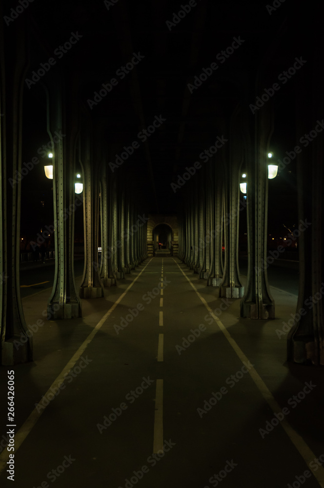 Puente de Bir Hakeim en París por la noche