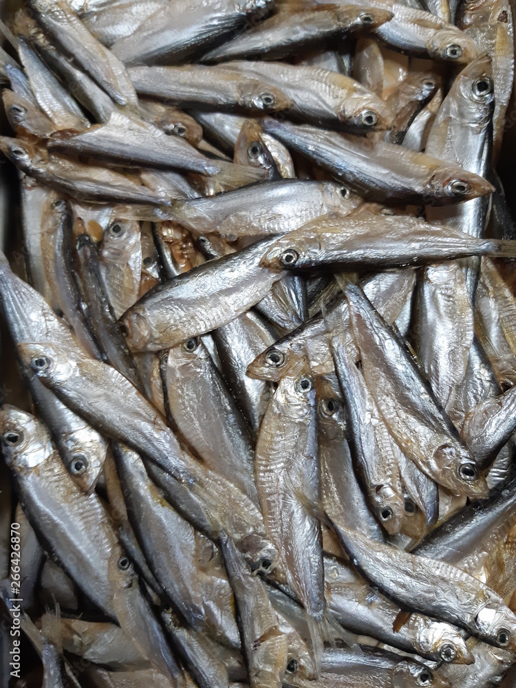 Obraz premium Dried small fish top view