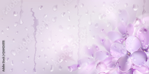 Floral spring background with purple lilac flowers