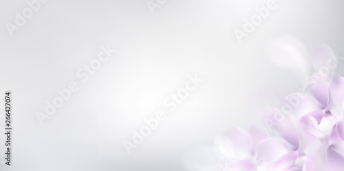 Floral spring background with purple lilac flowers