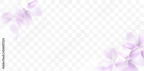 Floral spring background with purple lilac flowers