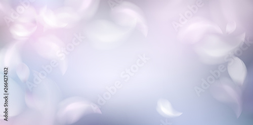 Soft spring background with purple blurred flower petals photo
