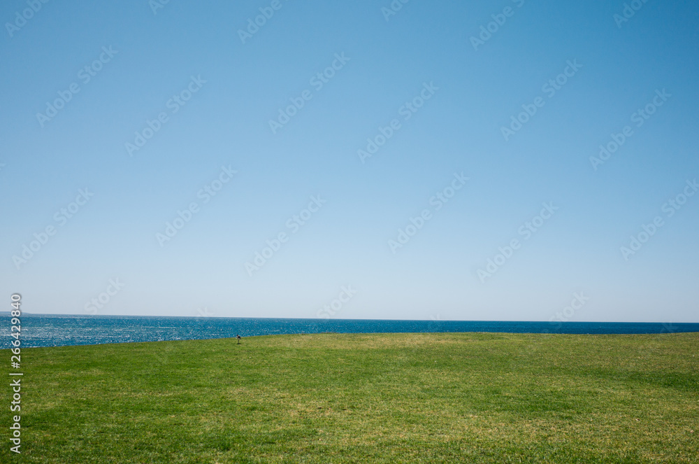 Fototapeta premium green grass and sky, beach
