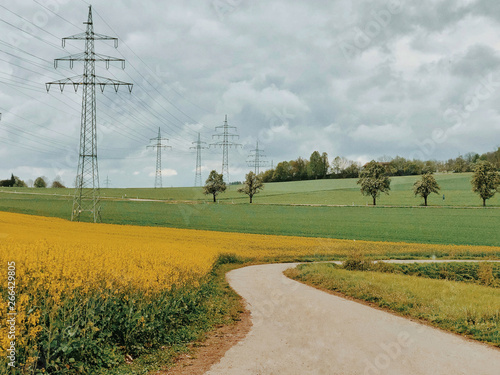 Field