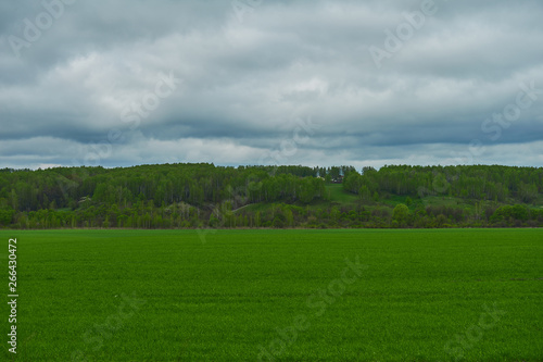 landscape with green field and overcast sky