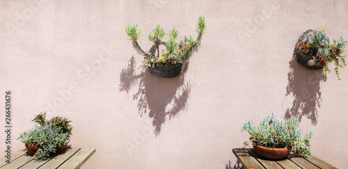 Hanging Basket on a wall