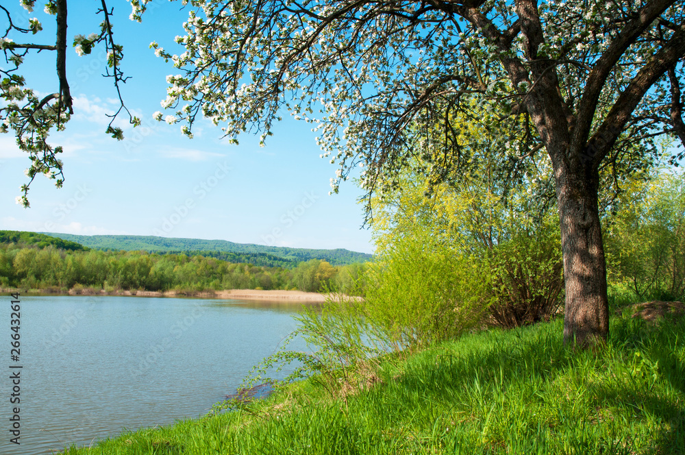 Spring panorama of a forest lake against a background of blue sky and distant mountains Spring panorama of a forest lake against a background of blue sky and distant mountains
