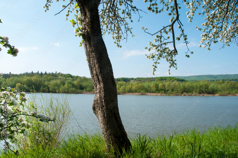 Spring panorama of a forest lake against a background of blue sky and distant mountains Spring panorama of a forest lake against a background of blue sky and distant mountains