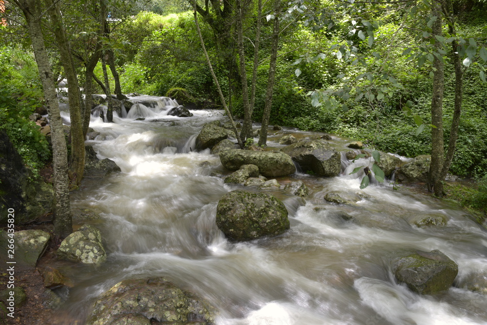 Obraz premium Río del milagro
