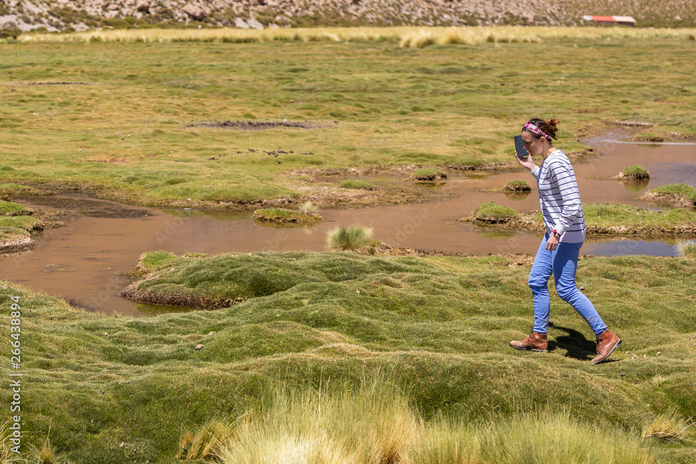 Landscape woman photographer taking mobile phone photos in an amazing wilderness environment at Atacama Desert Andes mountains altiplano. A woman cut out silhouette over the green grass in a meadow Landscape woman photographer taking mobile phone photos in an amazing wilderness environment at Atacama Desert Andes mountains altiplano. A woman cut out silhouette over the green grass in a meadow