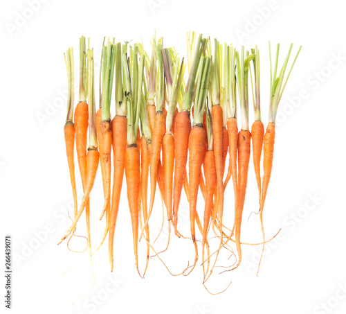 sweets carrot isolated on white background