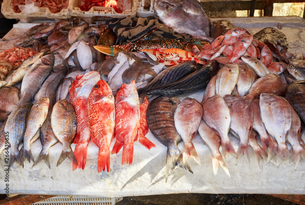 Real fish market and fresh fish, seafood from Atlantic ocean