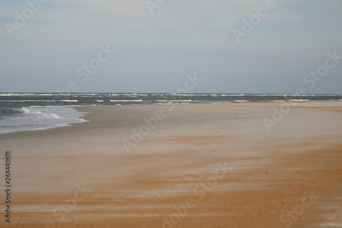 Brown Beach