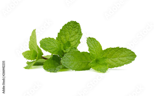 Fresh mint leaves isolated on white background.