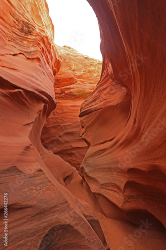 Rattlesnake Canyon in Arizona may not get the foot traffic as the famous Antelope Canyons, but it have it uniqueness It's still worth checking out.