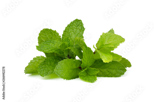 Fresh mint leaves isolated on white background.