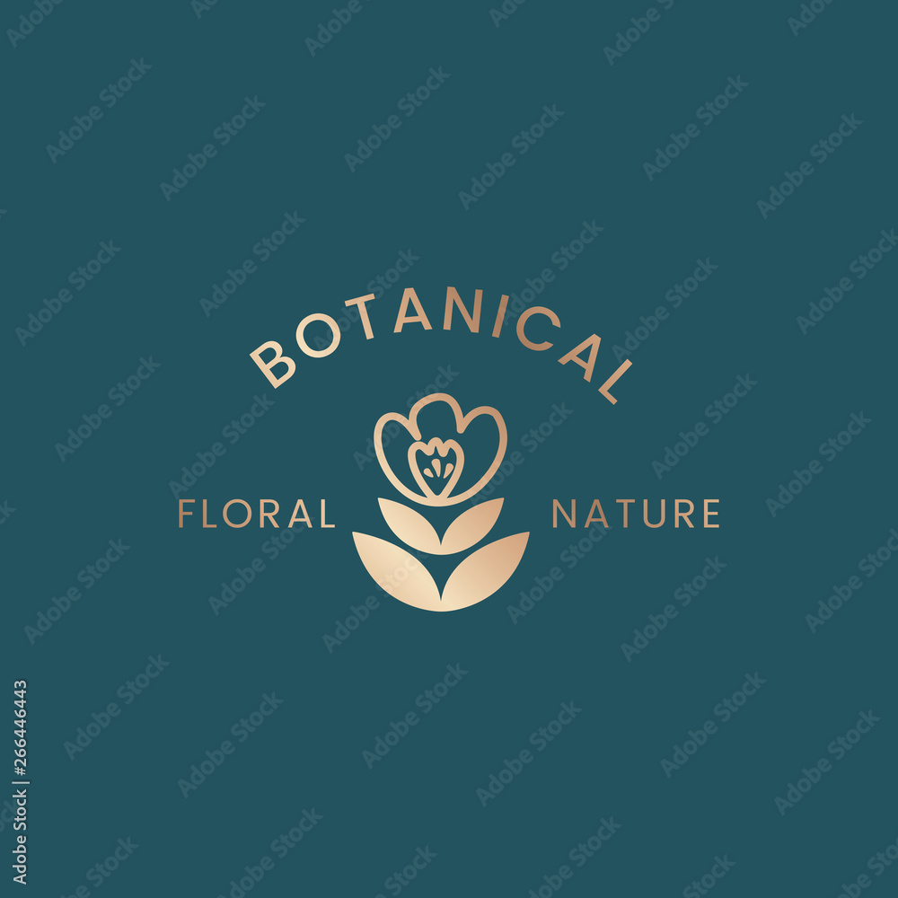 Fototapeta premium Botanical floral illustration