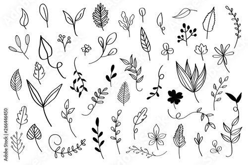 Hand drawn leaves set