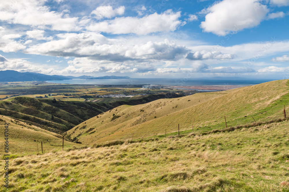 farmland pasture on Wither Hills in Blenheim with Cook Strait in distance, South Island, New Zealand