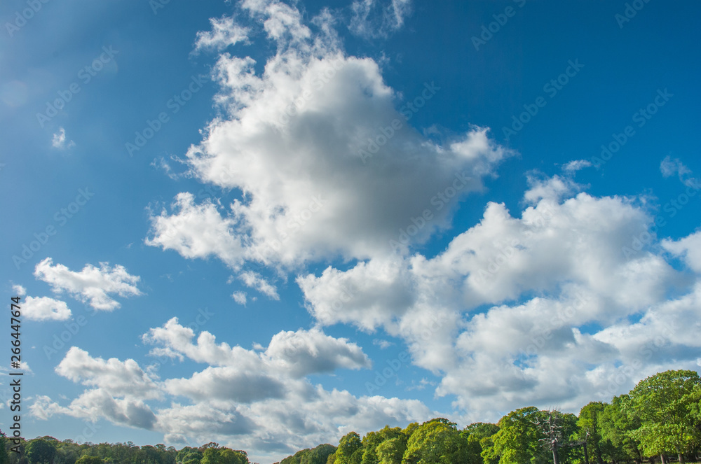 Beautiful Sky clouds for background images