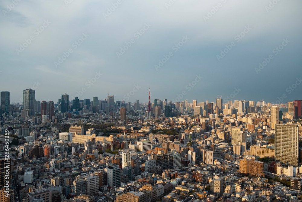 東京都心・曇り