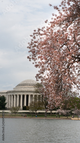 Jefferson Memorial and People Enjoying The Tidal Basin Blossoms