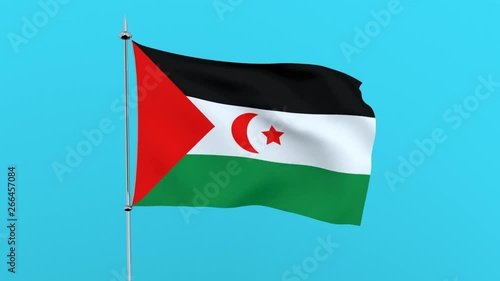 Flag of the country    Western Sahara on blue background. 3D rendering