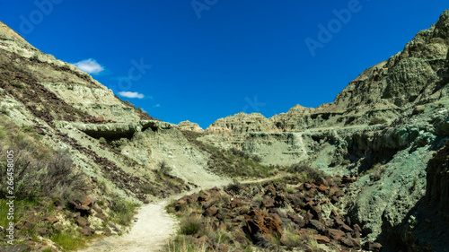 Oregon John Day Fossil Beds National Monument - Painted Hills Blue Basin Unit  photo