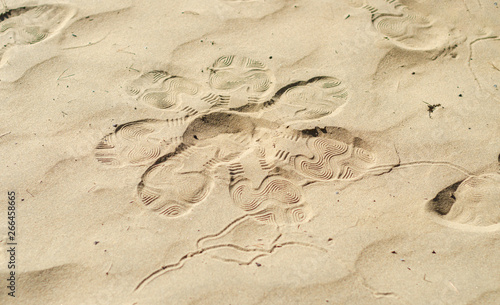 traces of shoes on the yellow sand. Background, texture