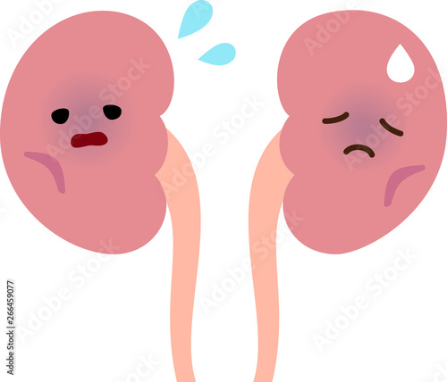 不健康な腎臓のキャラクター